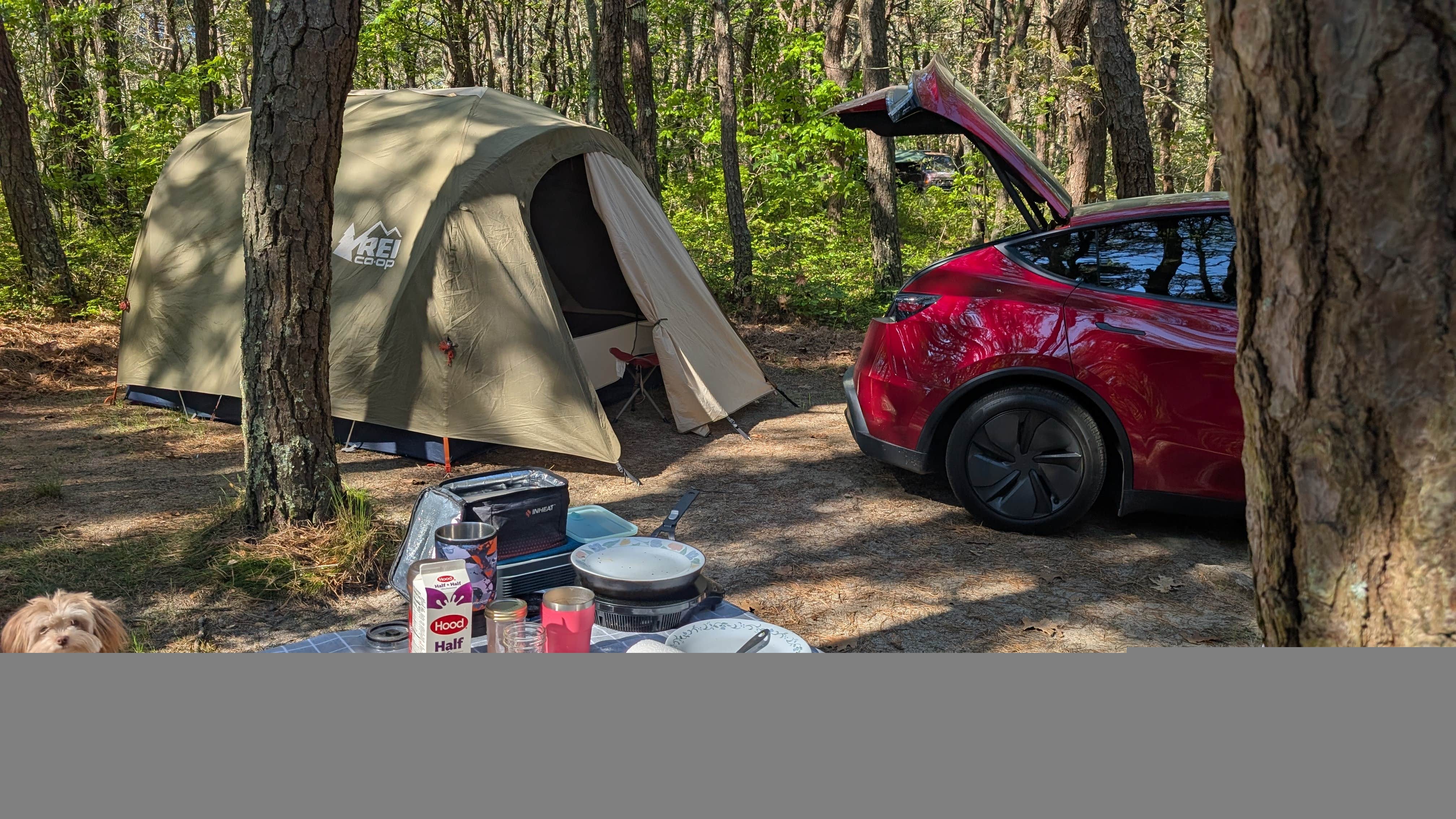 Camper-submitted photo at Dunes' Edge Campground - Provincetown Camping near South Chatham, MA