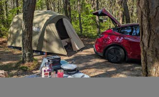 Colin R.'s photo of camping with pets at Dunes' Edge Campground - Provincetown Camping near Duxbury, MA