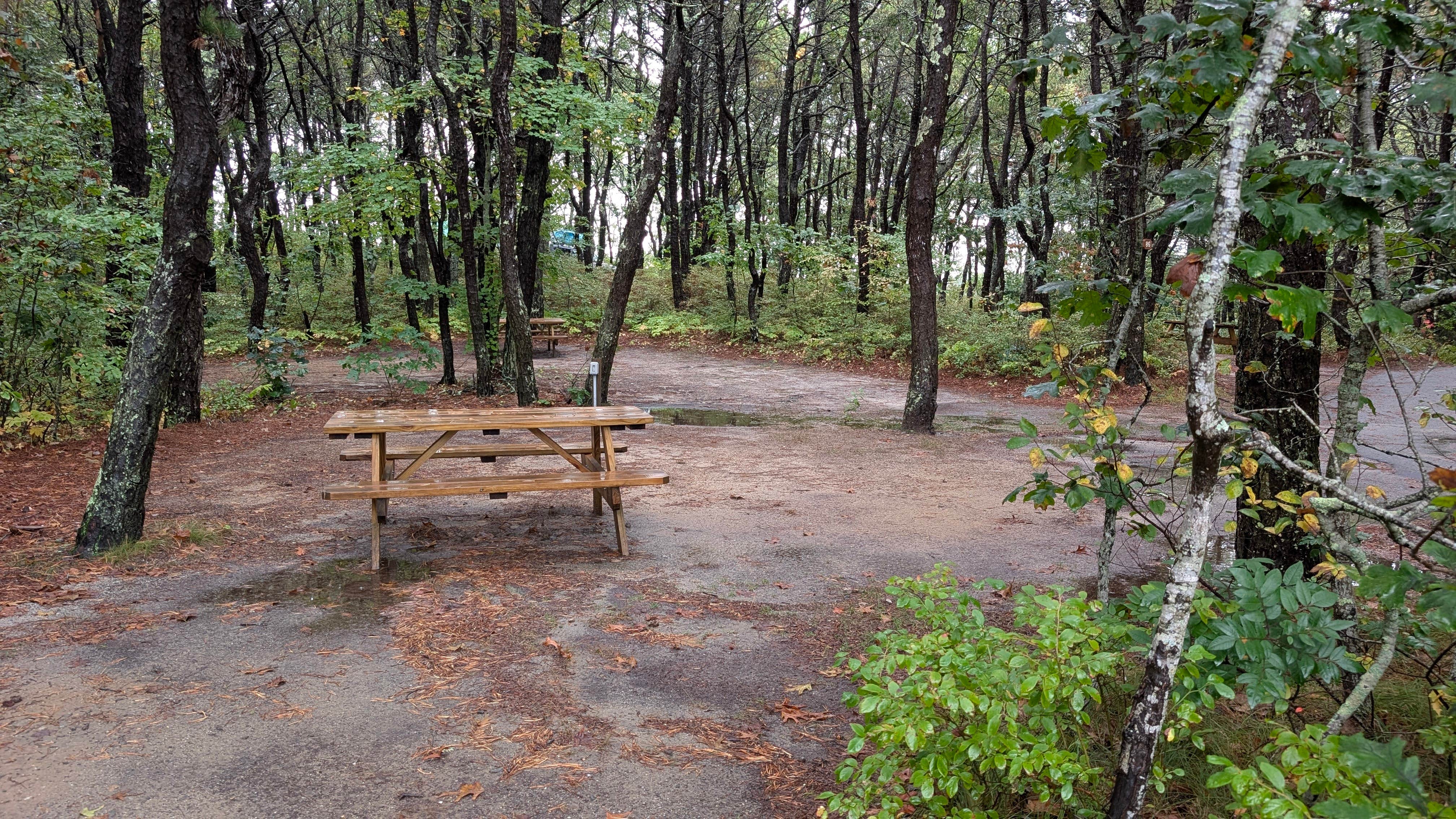 Camper-submitted photo at Dunes' Edge Campground - Provincetown Camping near South Chatham, MA
