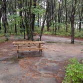 Review photo of Dunes' Edge Campground - Provincetown Camping by Colin R., September 25, 2025