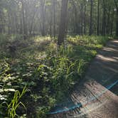 Review photo of Dunewood Campground — Indiana Dunes National Park by Veronica S., June 19, 2025