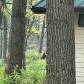 Review photo of Dunewood Campground — Indiana Dunes National Park by Veronica S., June 19, 2025