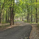Review photo of Dunewood Campground — Indiana Dunes National Park by Nikolai P., October 9, 2026