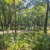 Review photo of Dunewood Campground — Indiana Dunes National Park by Katrin M., October 9, 2025