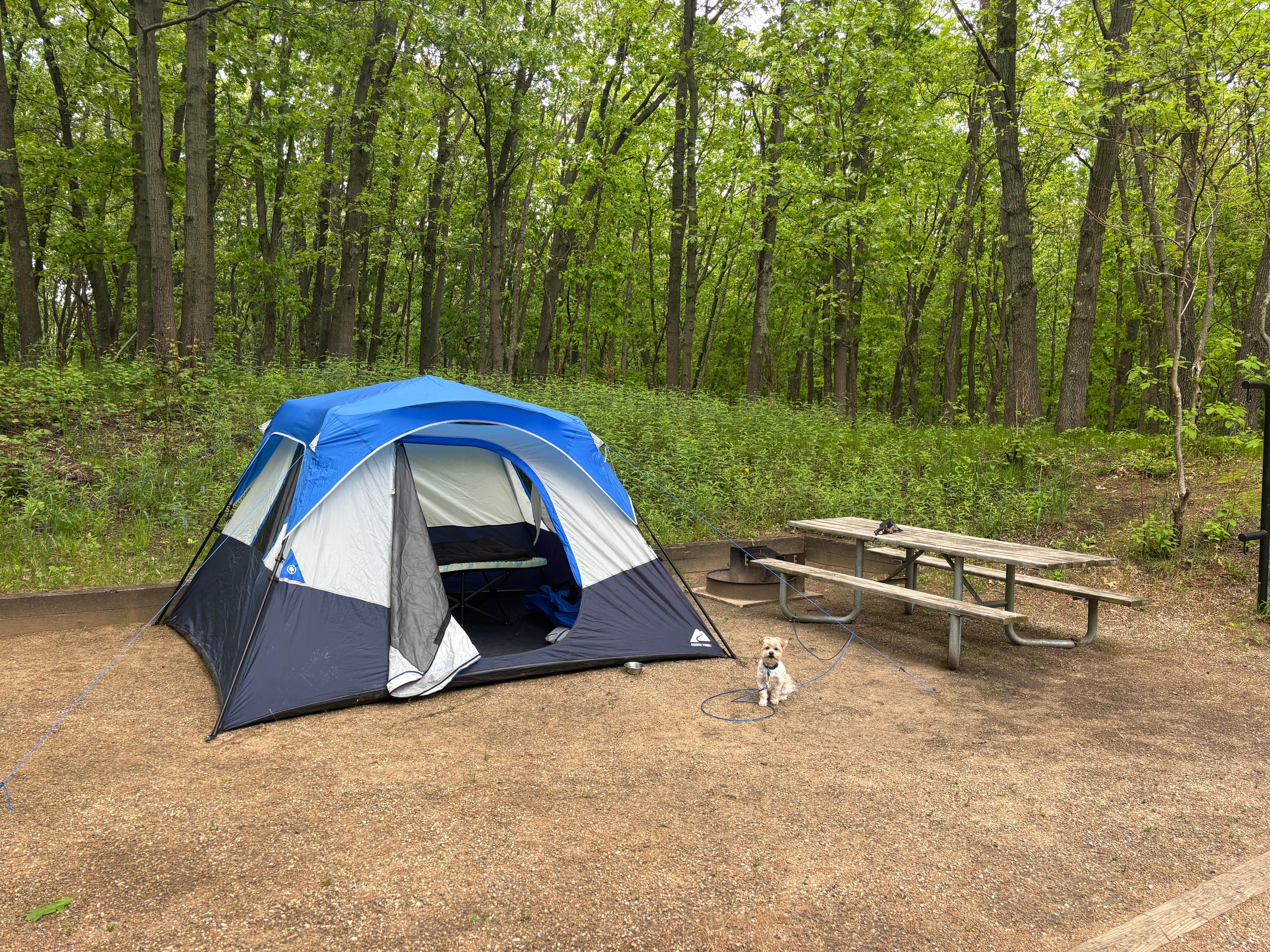 Bruce K.'s photo of camping with pets at Dunewood Campground — Indiana Dunes National Park near La Porte, IN