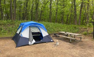 Bruce K.'s photo at Dunewood Campground — Indiana Dunes National Park near Hammond, IN