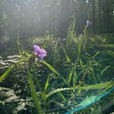 Review photo of Dunewood Campground — Indiana Dunes National Park by Veronica S., June 19, 2025