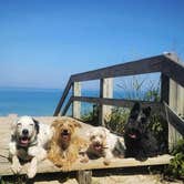 Review photo of Dunewood Campground — Indiana Dunes National Park by Katrin M., October 9, 2025