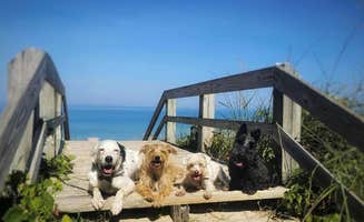 Katrin M.'s photo of camping with pets at Dunewood Campground — Indiana Dunes National Park near Michigan City, IN