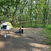 Review photo of Dunewood Campground — Indiana Dunes National Park by Veronica S., June 19, 2025