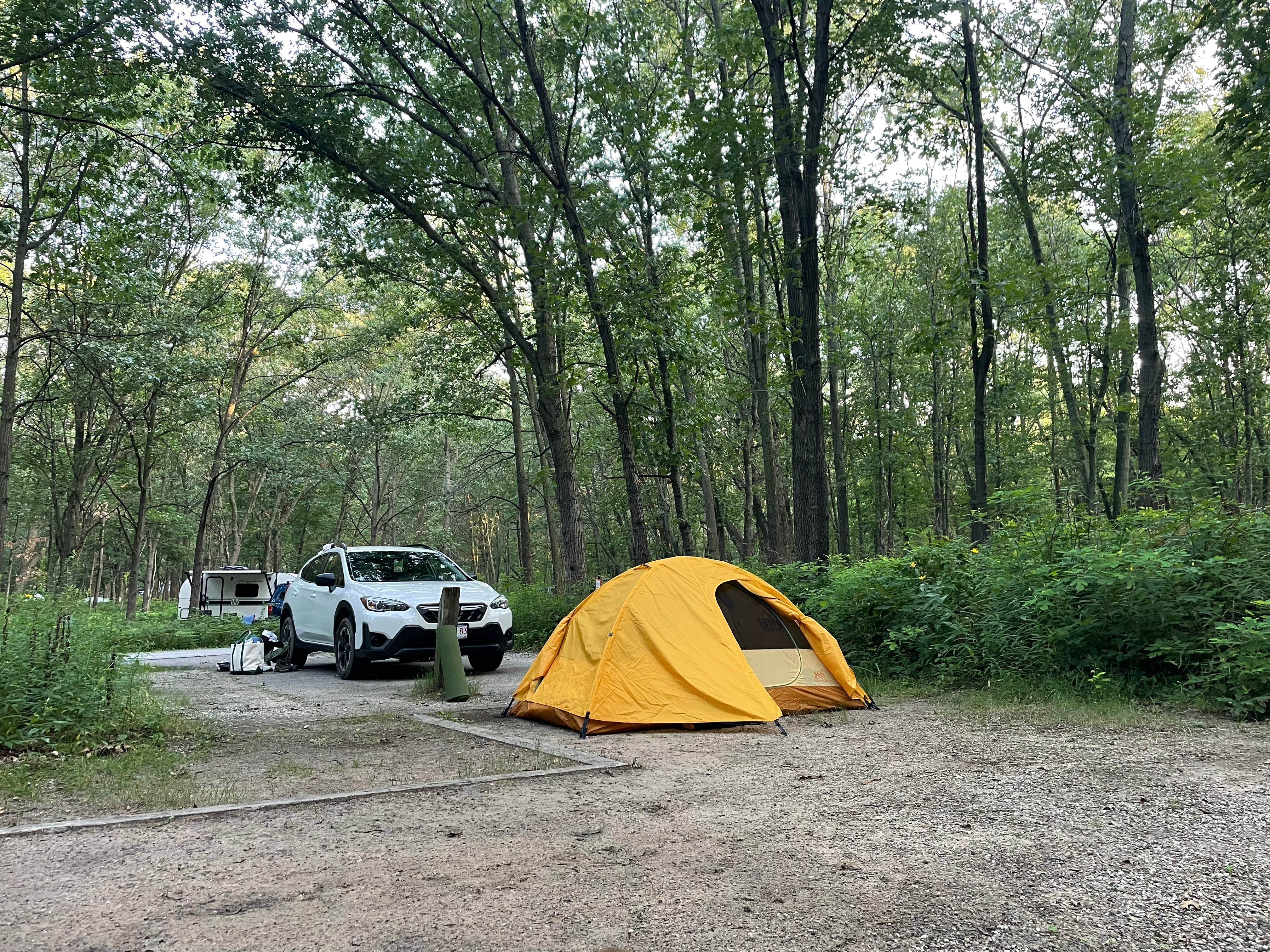Rose S.'s photo at Dunewood Campground — Indiana Dunes National Park near Hebron, IN