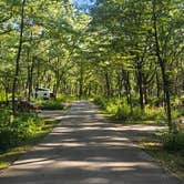 Review photo of Dunewood Campground — Indiana Dunes National Park by Katrin M., October 9, 2025