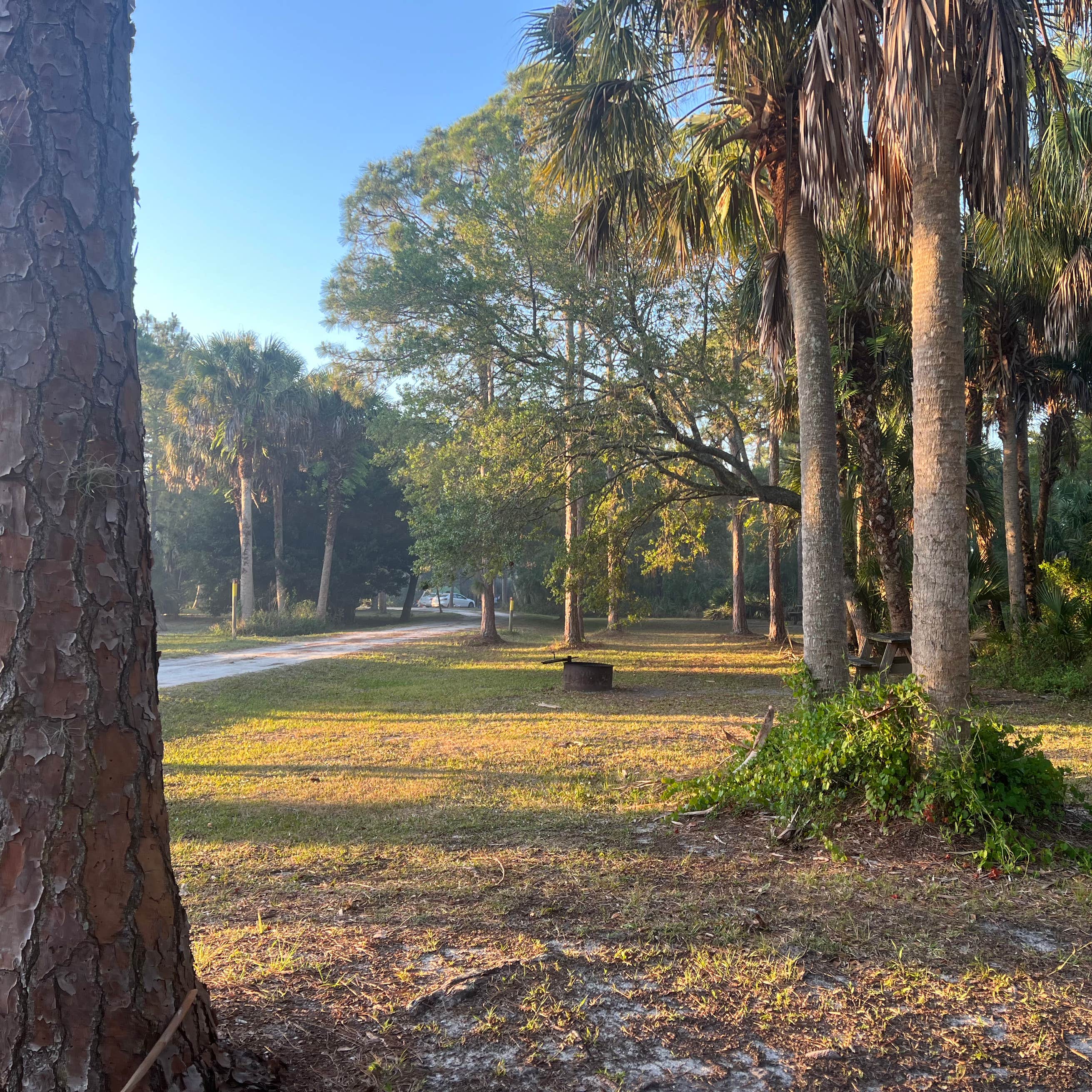 DuPuis Campground at Gate 3 | Indiantown, FL