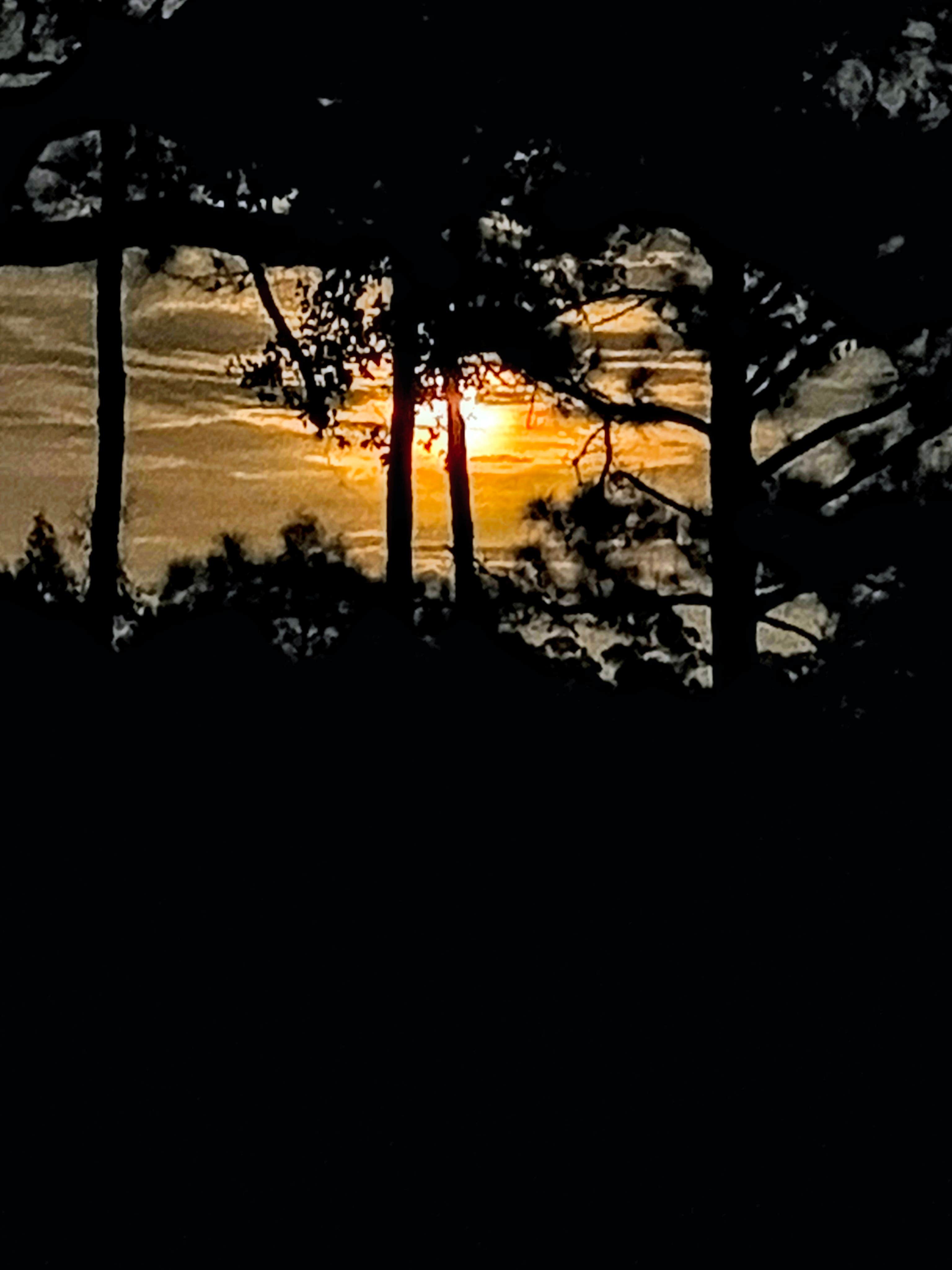 Camper-submitted photo at DuPuis Campground at Gate 3 near Indiantown, FL