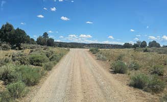 johny R.'s photo of a dispersed camping area at Durfield Dispersed Camping near Purgatory, CO