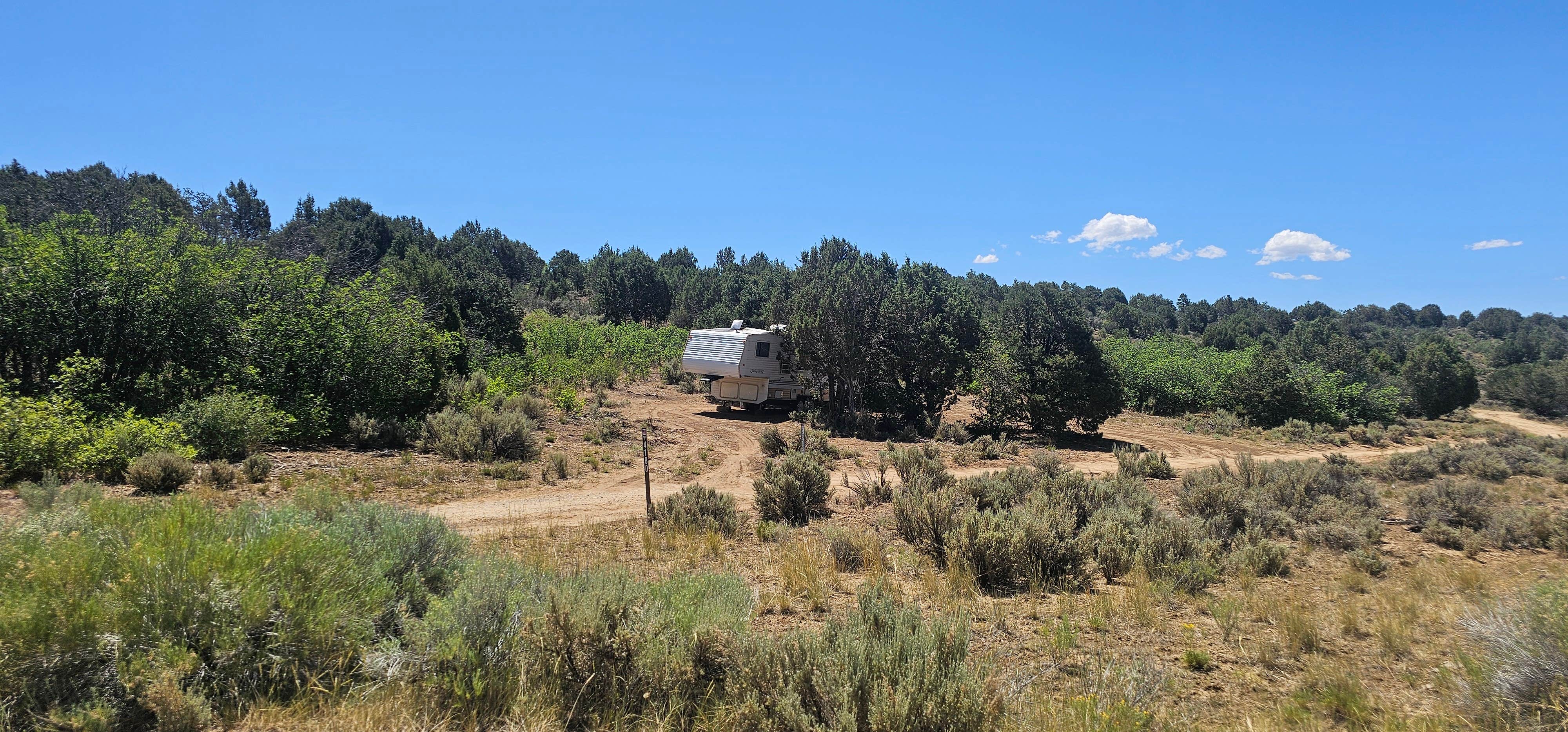 Camper-submitted photo at Durfield Dispersed Camping near Blanco, NM