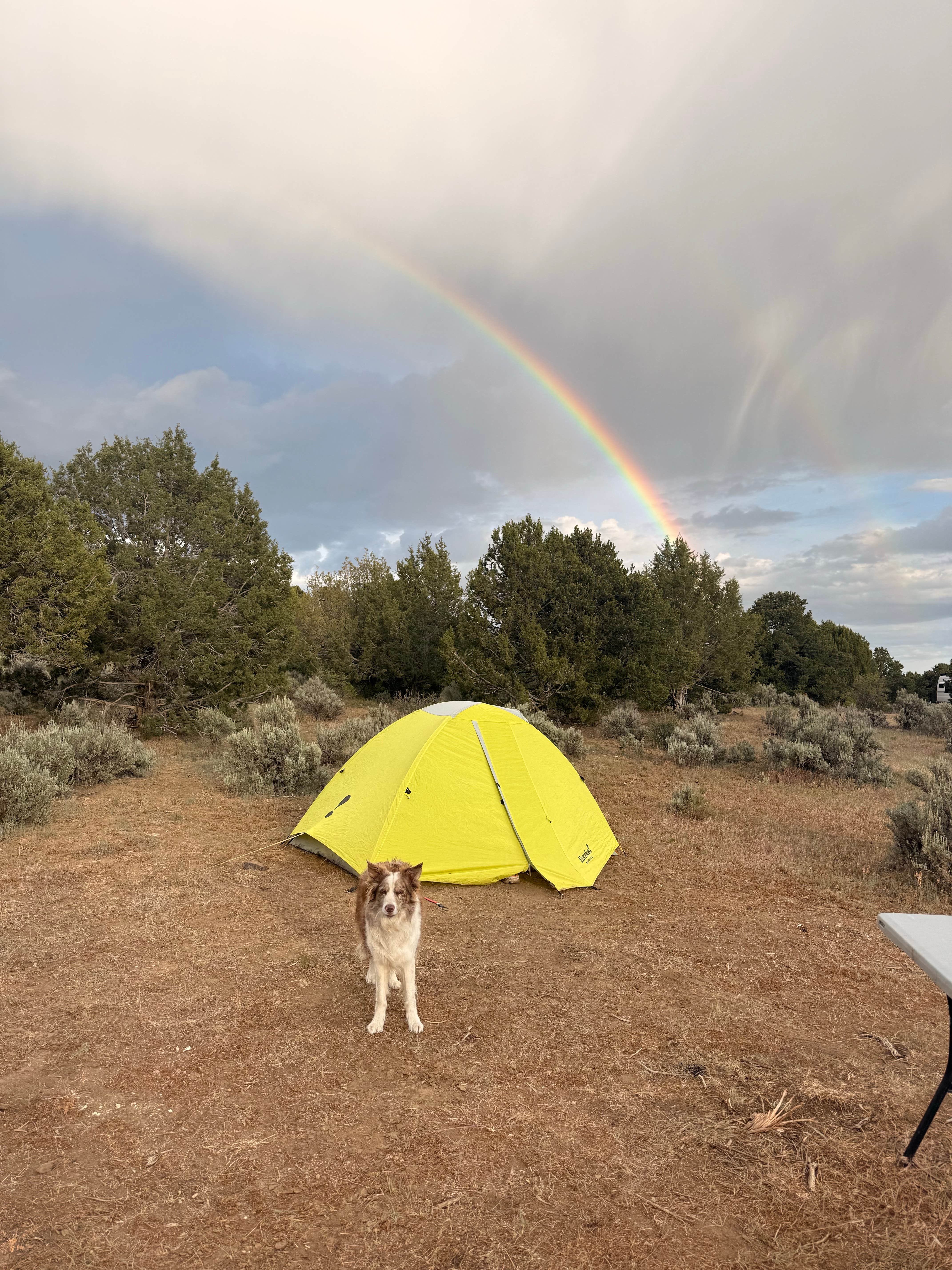 Camper-submitted photo at Durfield Dispersed Camping near Durango, CO