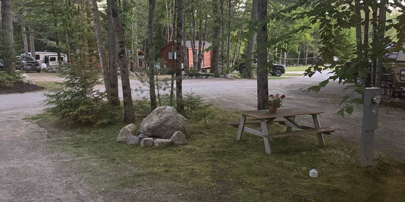 Camper submitted image from Durham Leisure Campground