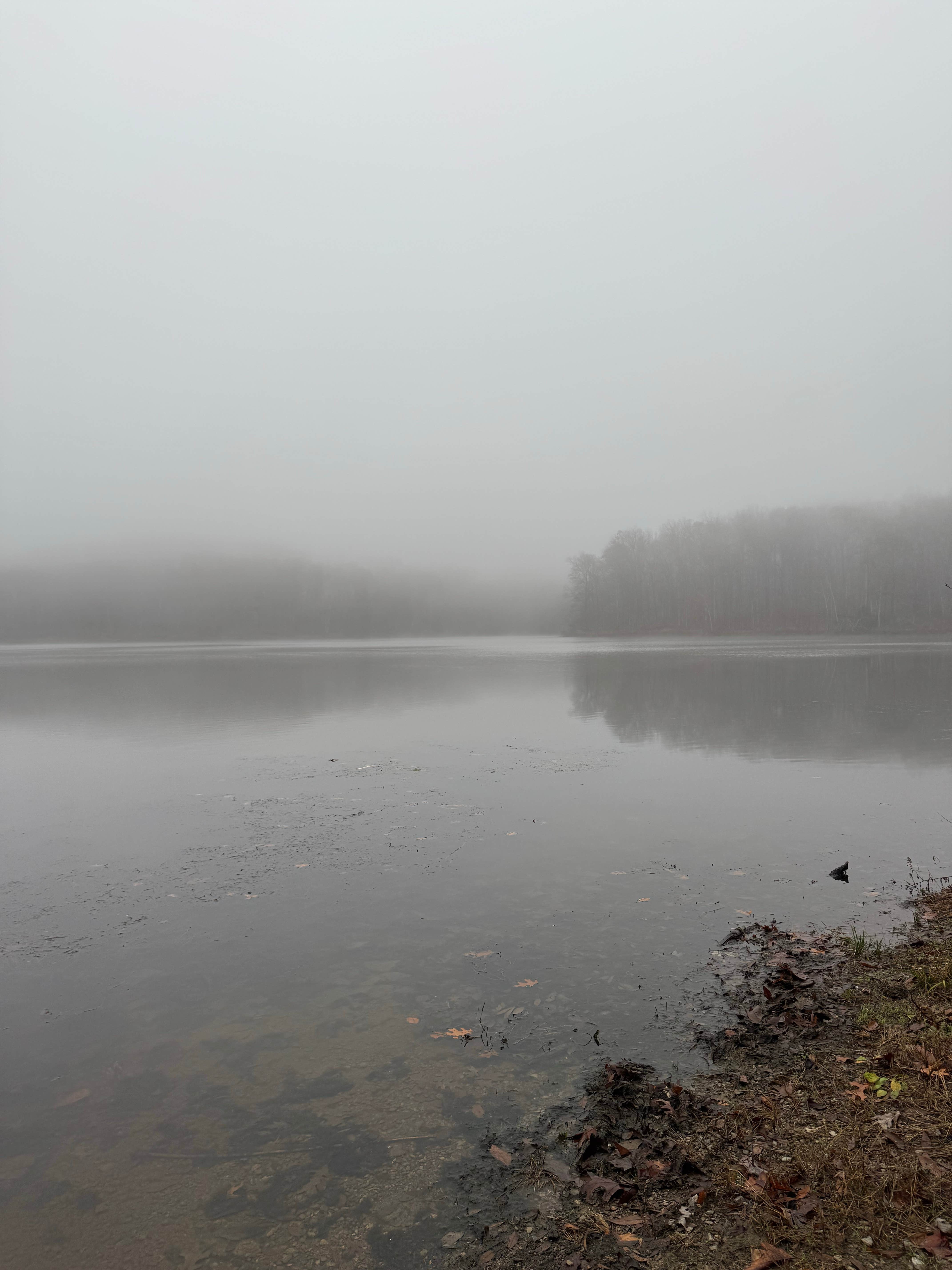 Camper-submitted photo at Dutchman Lake Camp near Herod, IL