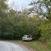 Review photo of Dutchman Lake Camp by Katie B., October 3, 2025