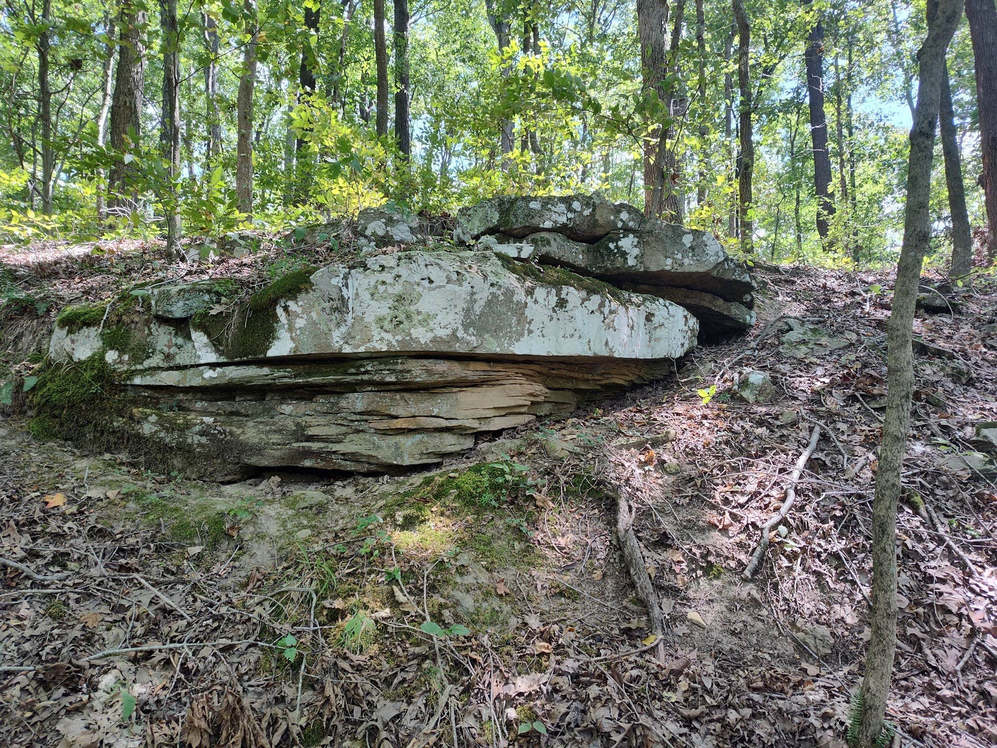 Camper-submitted photo at Dutchman Lake Camp near Herod, IL