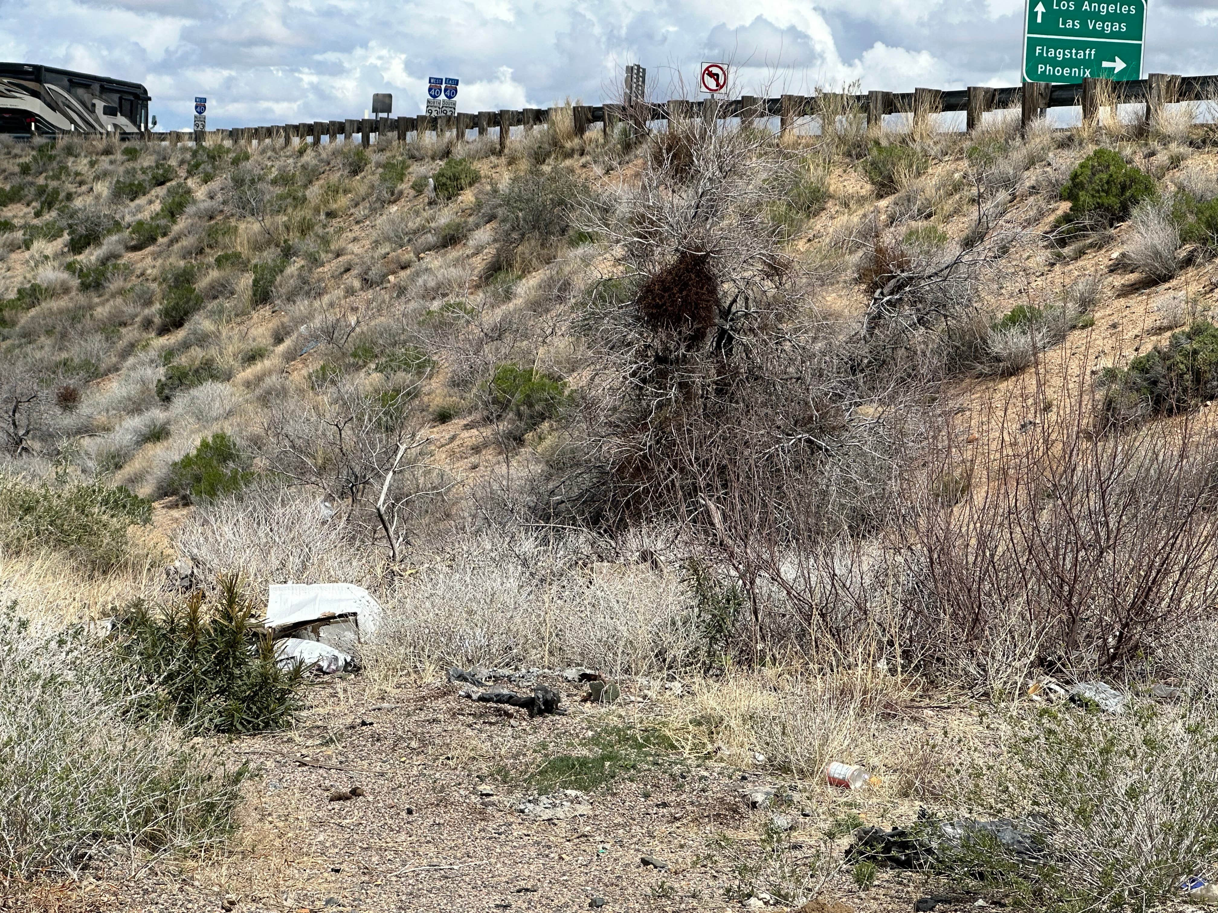Camper submitted image from DW Ranch Road - 5