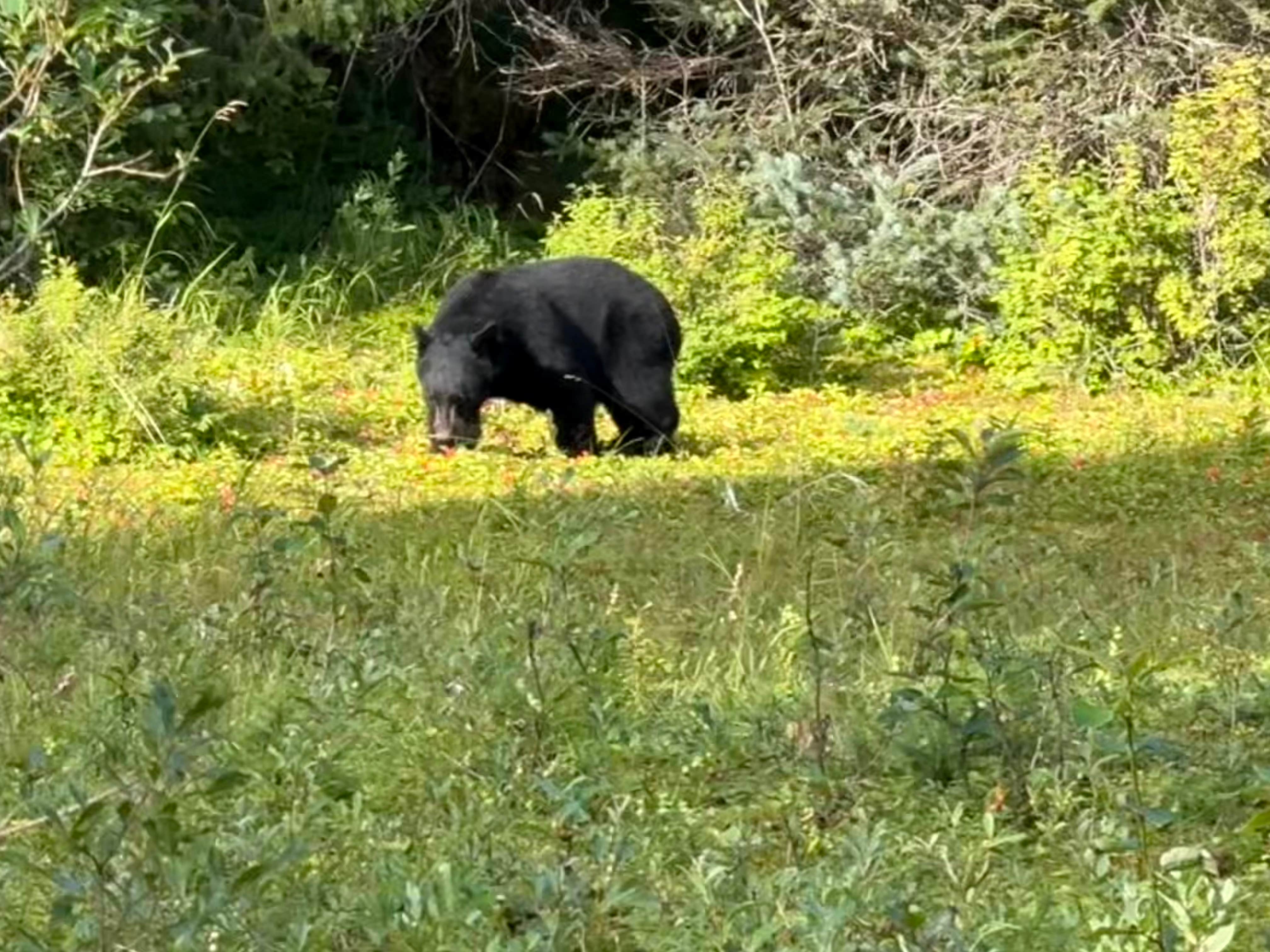 Camper-submitted photo at Eagle Beach State Recreation Area near Gustavus, AK