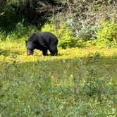 Review photo of Eagle Beach State Recreation Area by James B., August 16, 2025