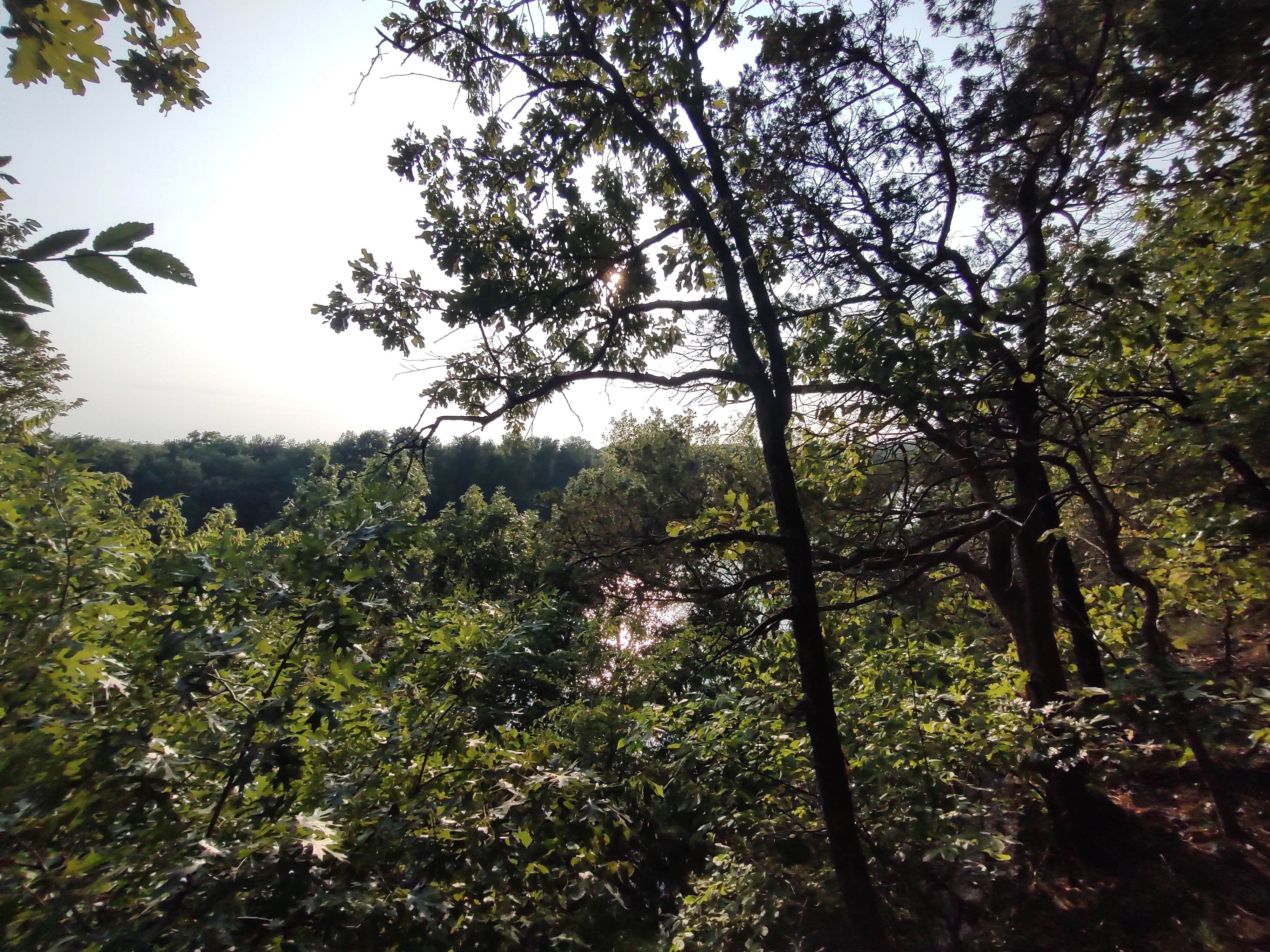 Camper-submitted photo at Eagle Bluff - Twin Bridges — Grand Lake State Park near Wyandotte, OK