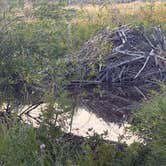 Review photo of Eagle Creek Campground Custer Gallatin National Forest — Custer Gallatin National Forest by Connie B., August 31, 2026