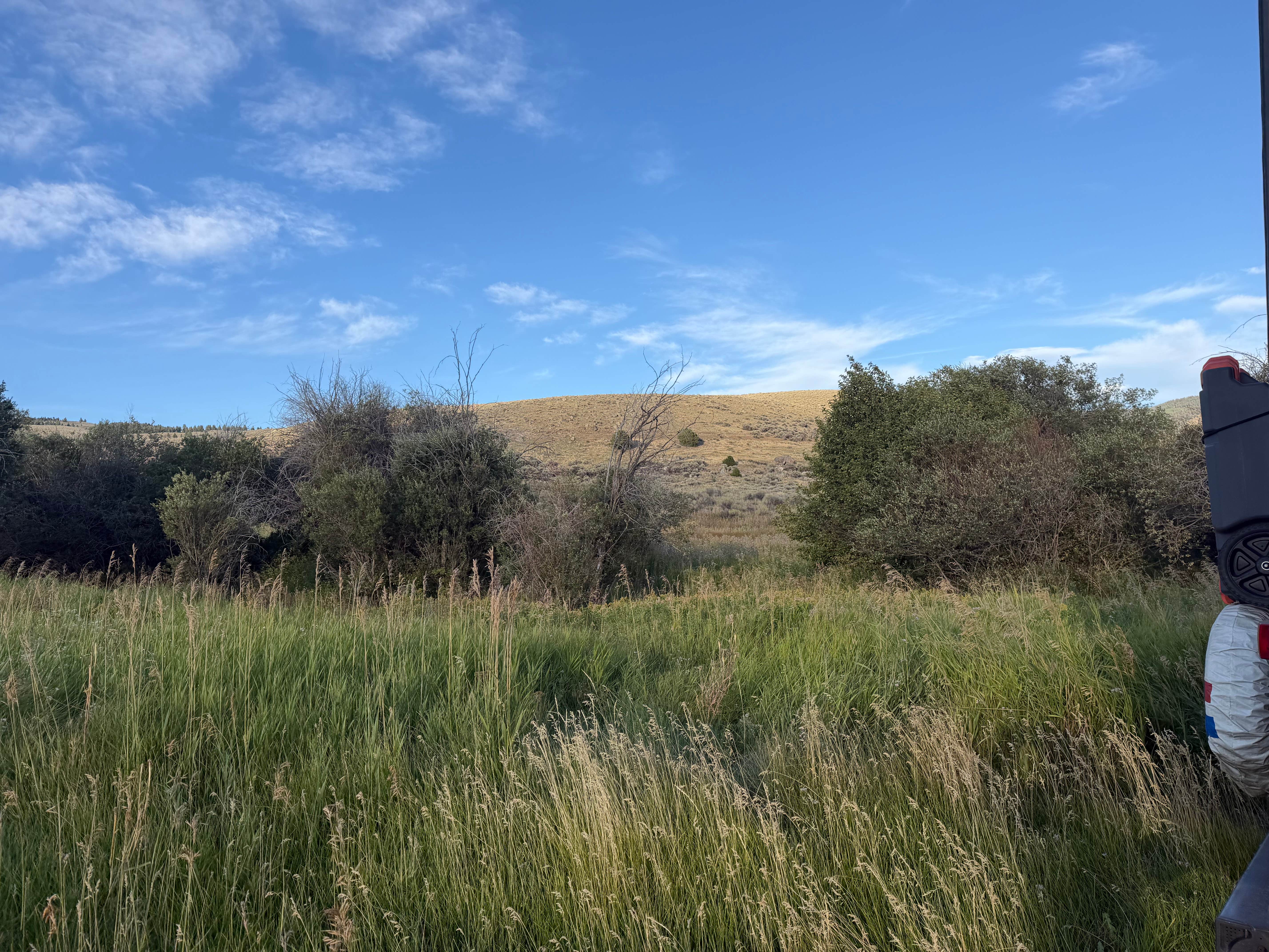 Camping near Mammoth Campground — Yellowstone National Park: Eagle Creek Campground Custer Gallatin National Forest — Custer Gallatin National Forest, Gardiner, Montana