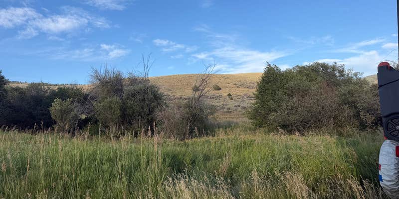Camper submitted image from Eagle Creek Campground Custer Gallatin National Forest — Custer Gallatin National Forest
