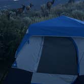 Review photo of Eagle Creek Campground by Tiffany V., March 12, 2026