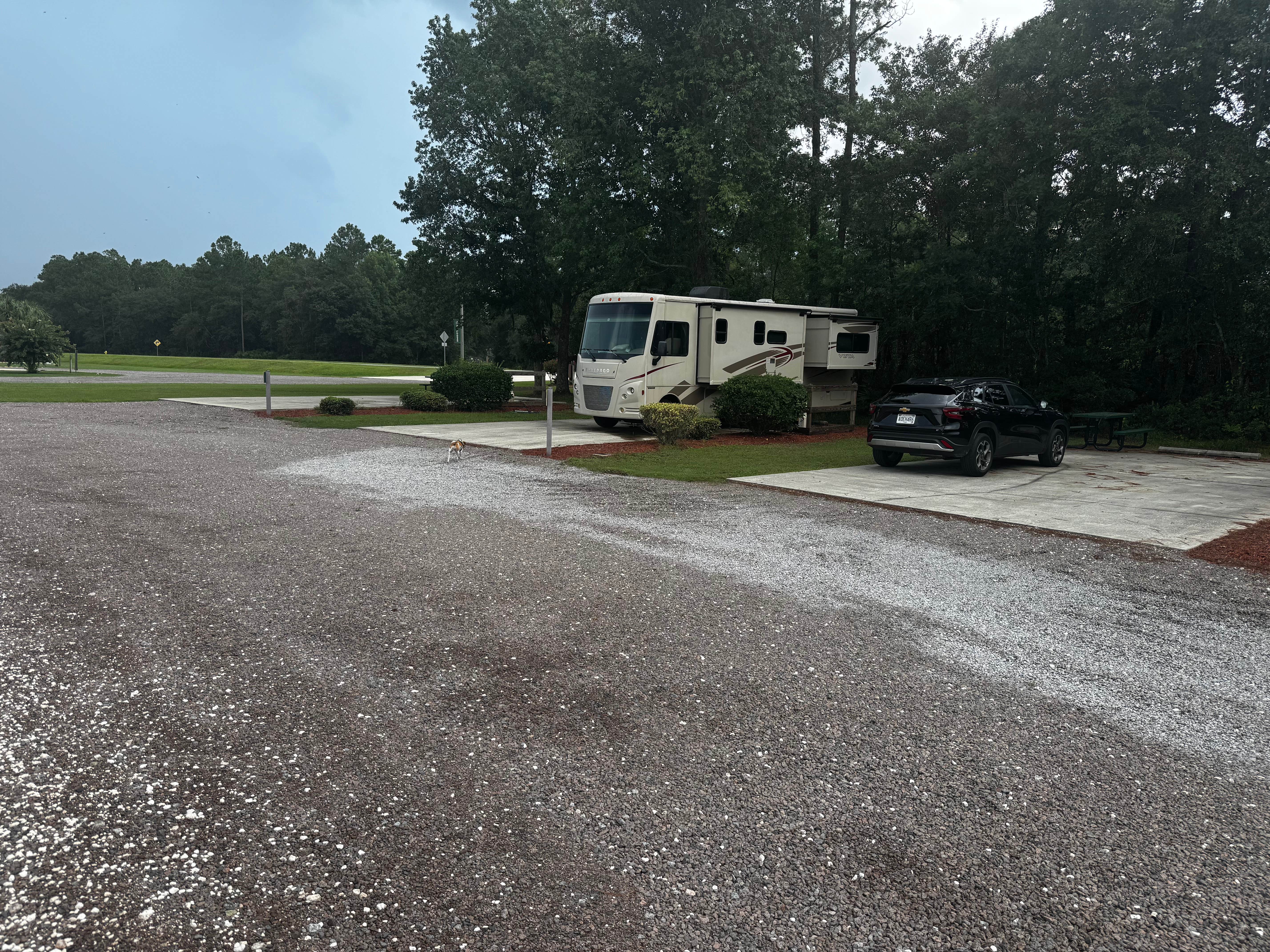 Camper-submitted photo at Eagle Hammock RV Park near Cumberland Island National Seashore