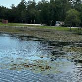 Review photo of Eagle Hammock RV Park by Larry W., August 7, 2026