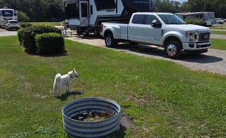 Ben P.'s photo of camping with pets at Eagle Hammock RV Park near Darien, GA