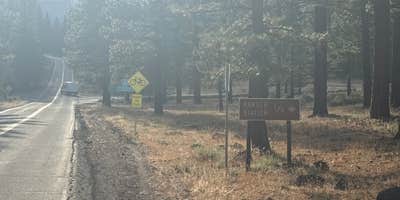 Roads