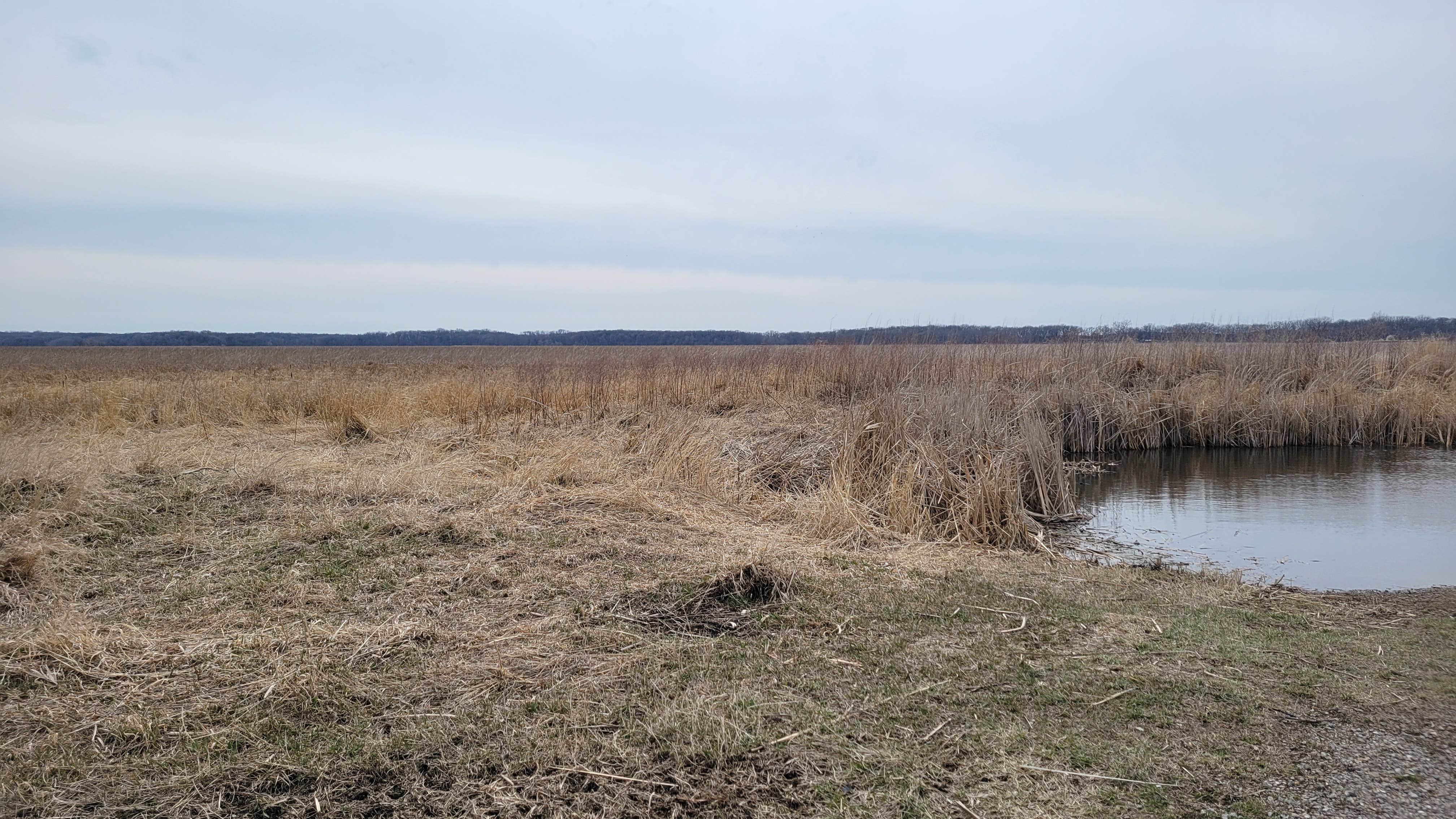 Camper submitted image from Eagle Lake State Wildlife Management Area - 1