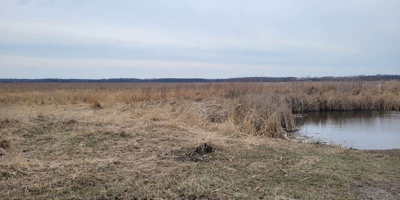 Camper submitted image from Eagle Lake State Wildlife Management Area