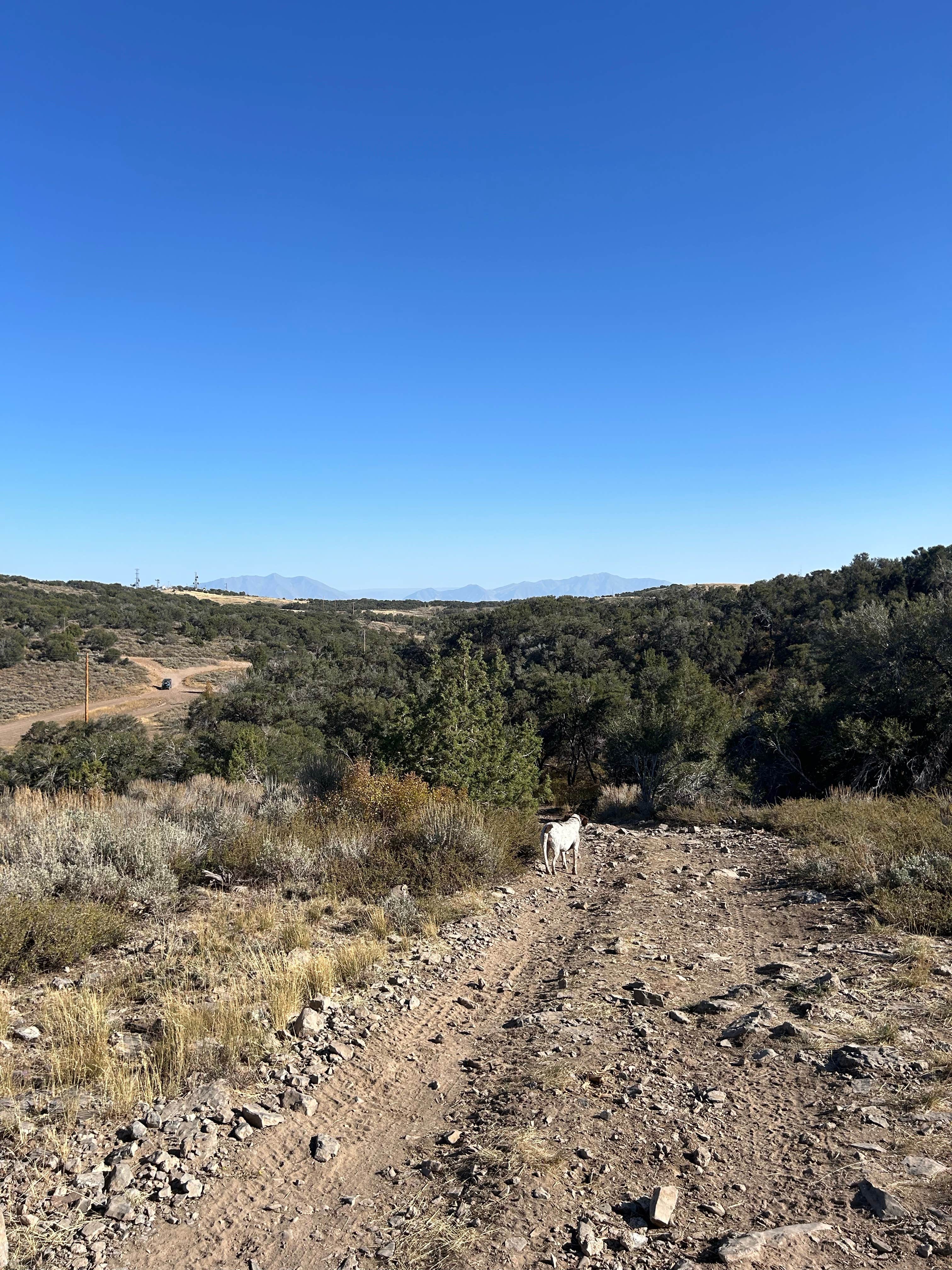 rachel's photo of camping with pets at Eagle Mountain Dispersed near Tooele, UT