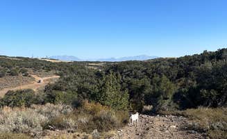 rachel's photo of camping with pets at Eagle Mountain Dispersed near Magna, UT