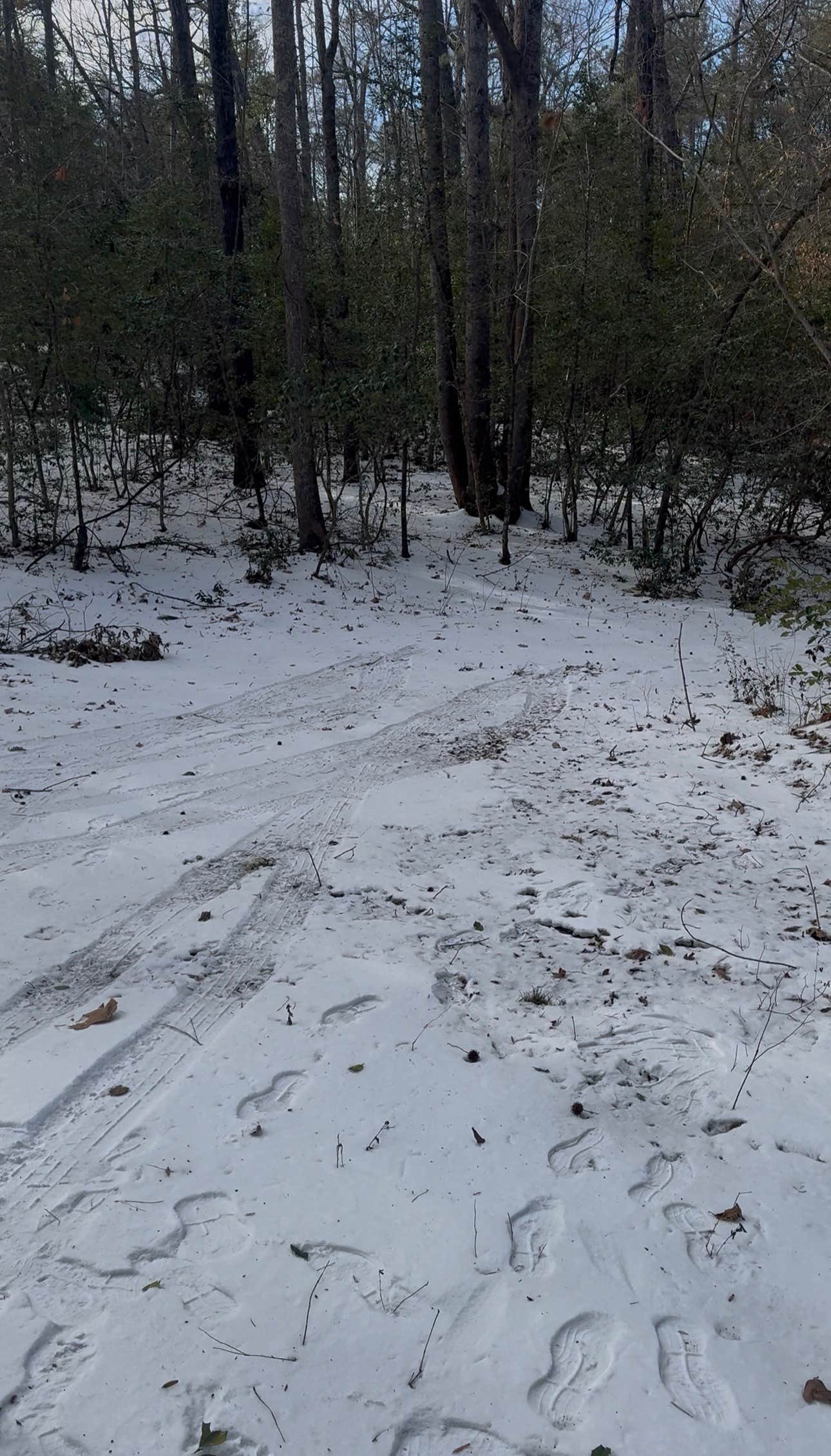 Camper-submitted photo at Eagle Nest Lookout near Charles City, VA
