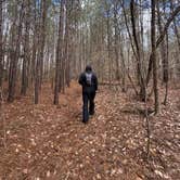 Review photo of Eagle Nest Lookout by Kevin F., February 18, 2024