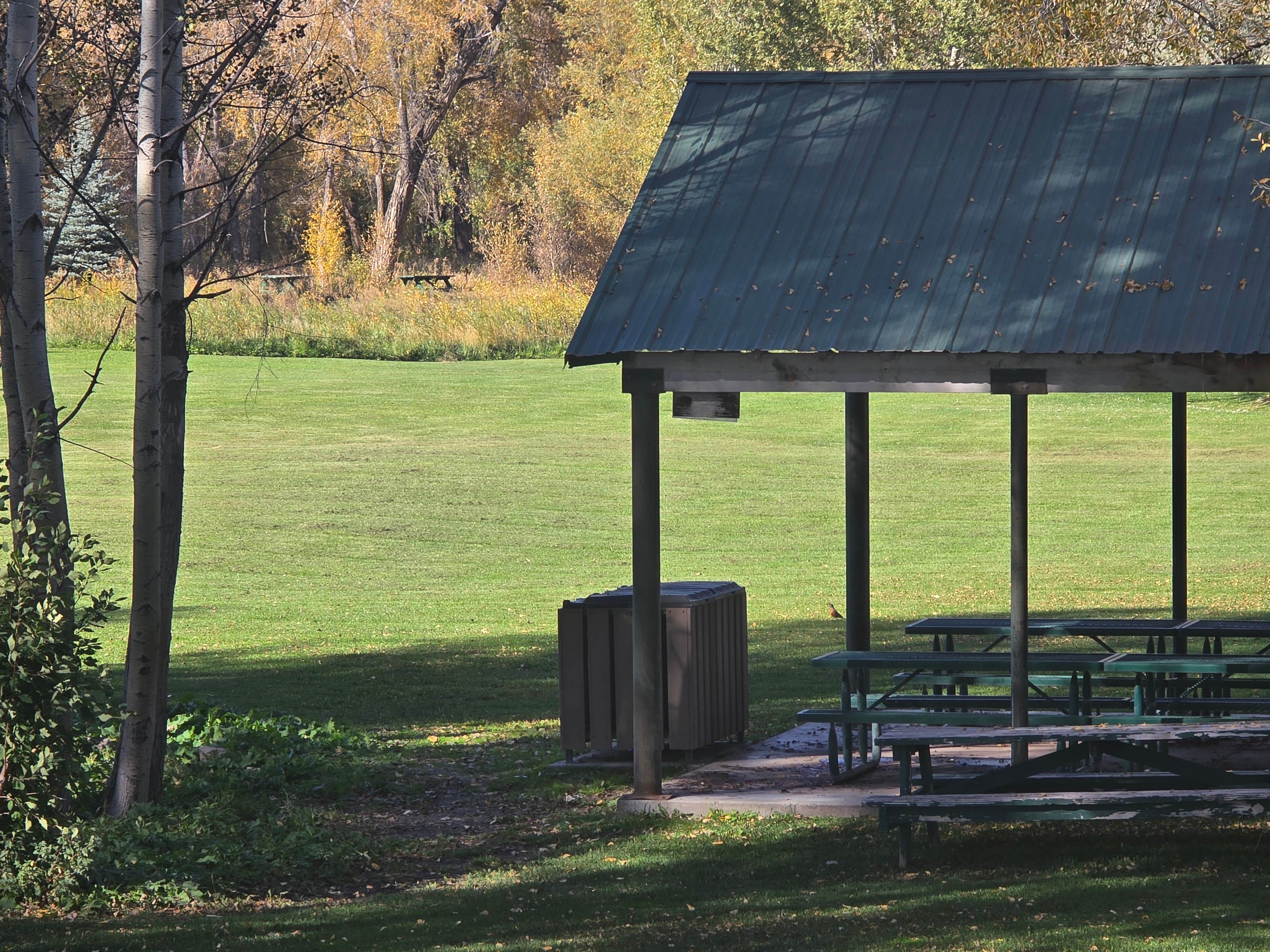 Camper-submitted photo at Eagle Park Campground near Ammon, ID