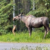 Review photo of Eagle River Campground - Chugach State Park by Janice M., July 8, 2024