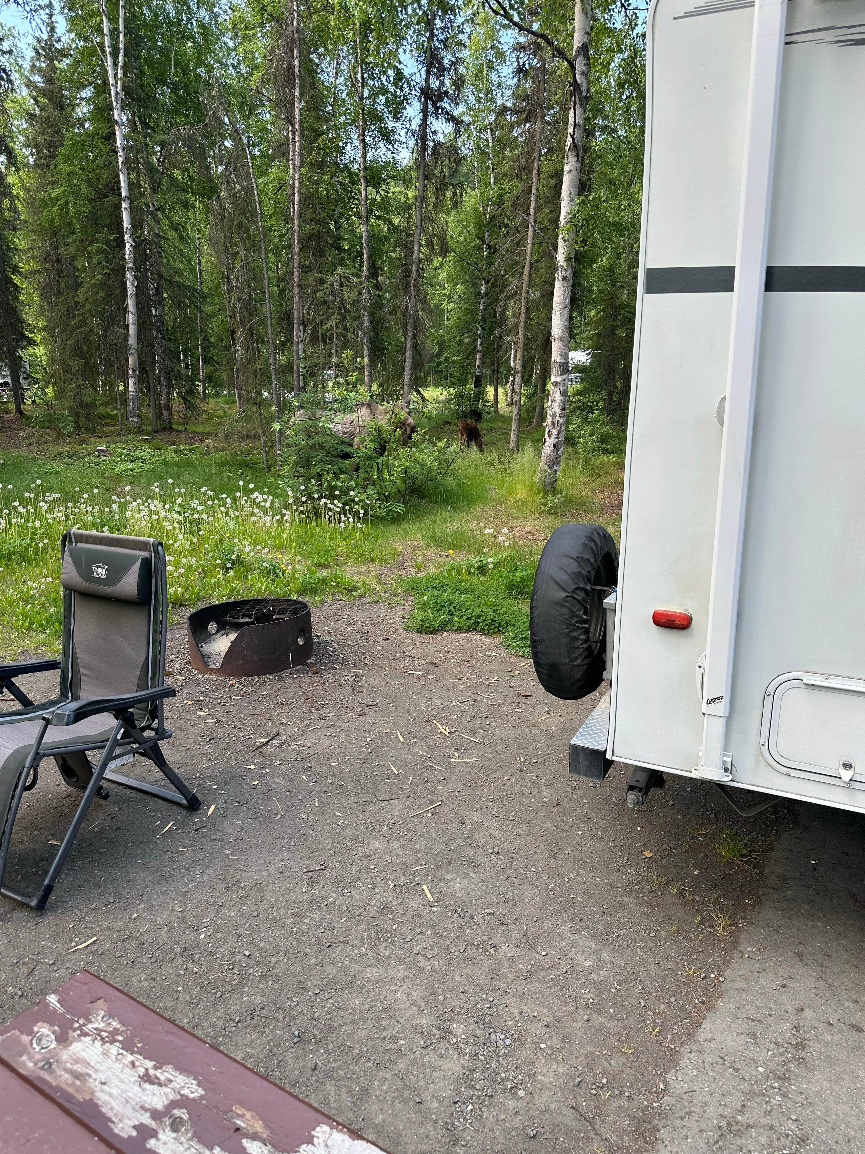Camper-submitted photo at Eagle River Campground — Chugach State Park in Alaska