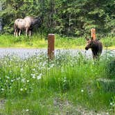 Review photo of Eagle River Campground - Chugach State Park by Janice M., July 8, 2024