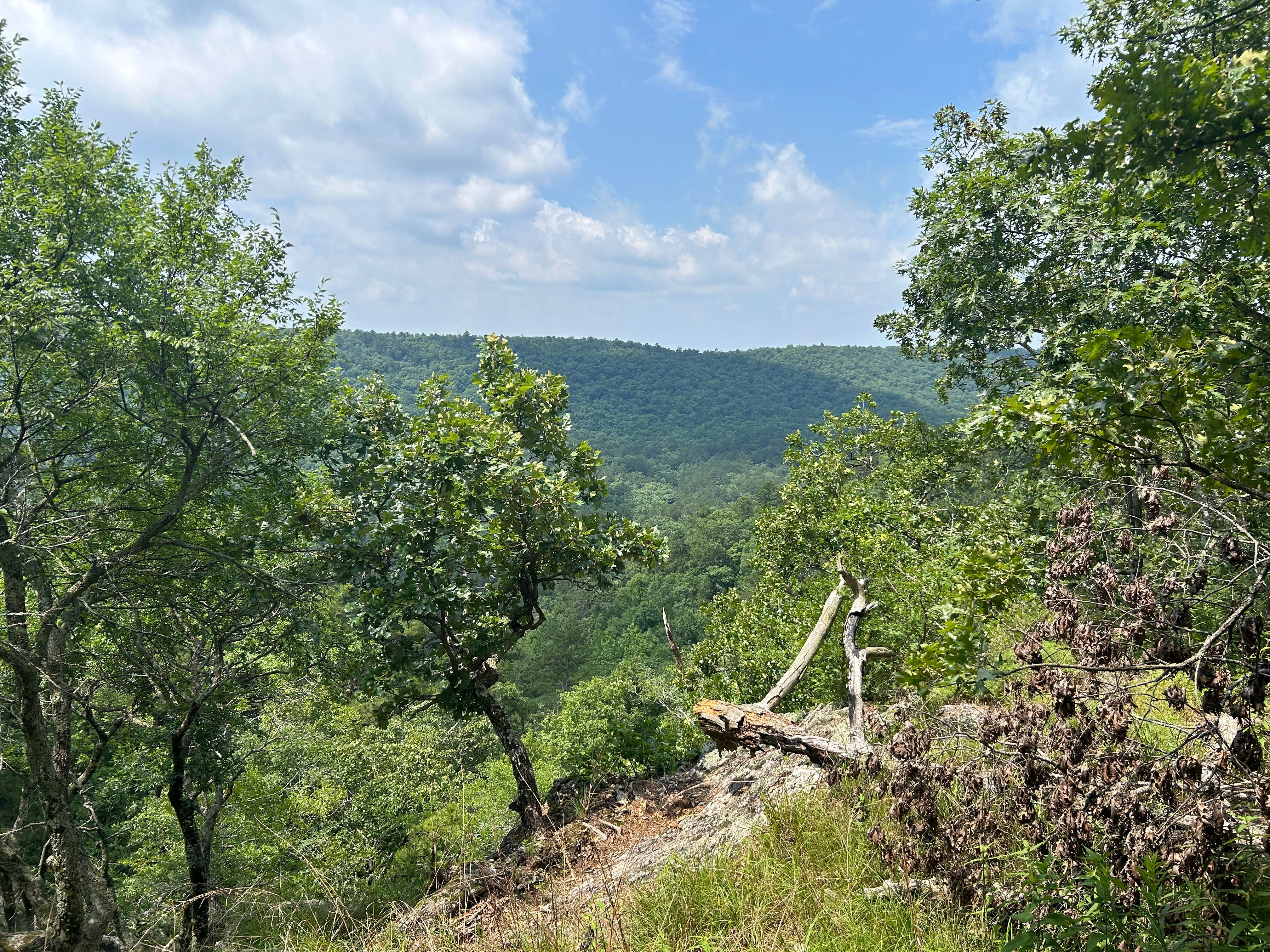 Camping near Bard Springs Campground - CLOSED TEMPORARILY: Eagle Rock Vista, Umpire, Arkansas