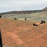 Review photo of Eagle RV Park by Beth D., May 23, 2026
