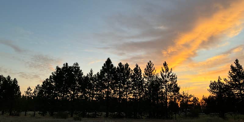 Camper submitted image from Eagle's Nest RV Park